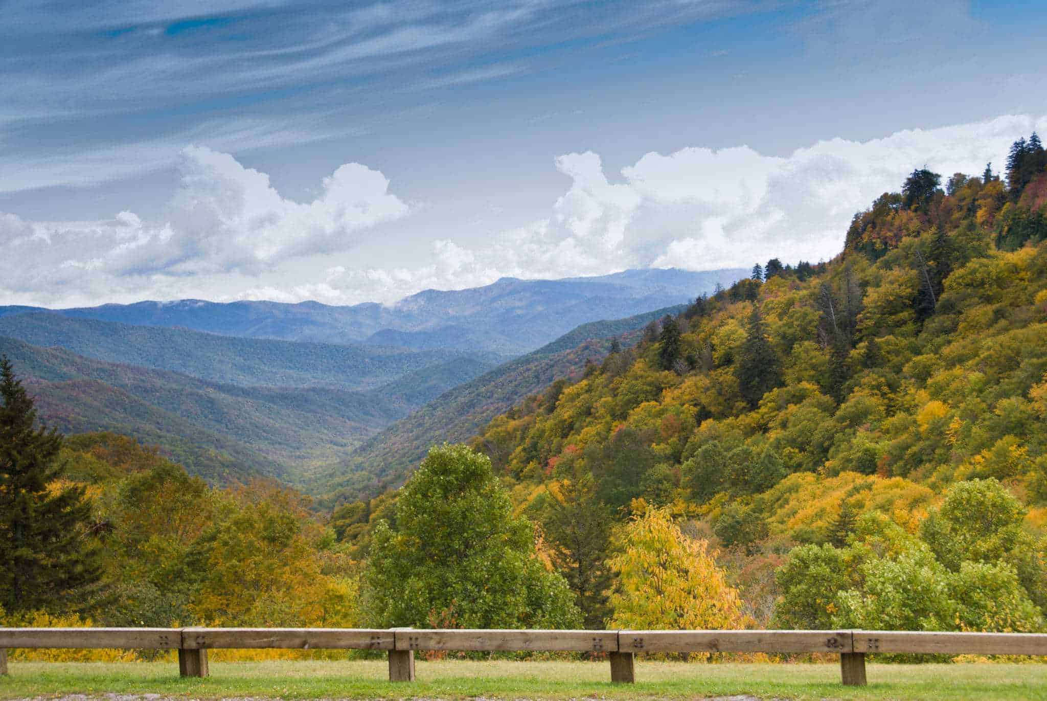 iew from Newfound Gap Road