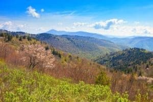 View of the Great Smoky Mountains in the fall