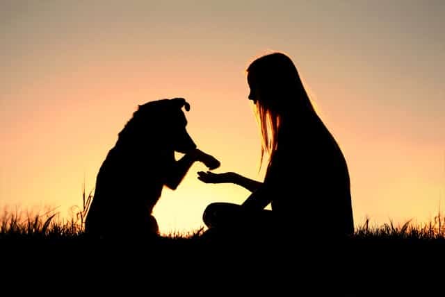 girl and dog on vacation in the Smoky Mountains