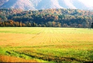 Cades Cove Fall