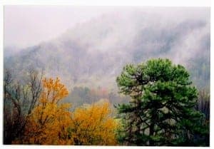 Smoky Mountains fog in fall