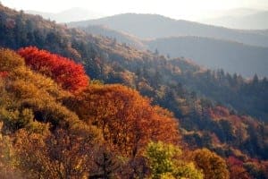 fall leaves in the Smoky Mountains