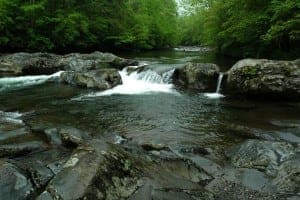 river in the Smoky Mountains