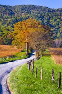 Cades Cove Fall