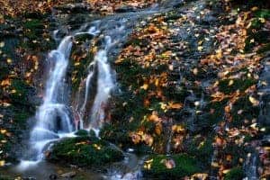 Smoky Mountain stream with leaves in the fall