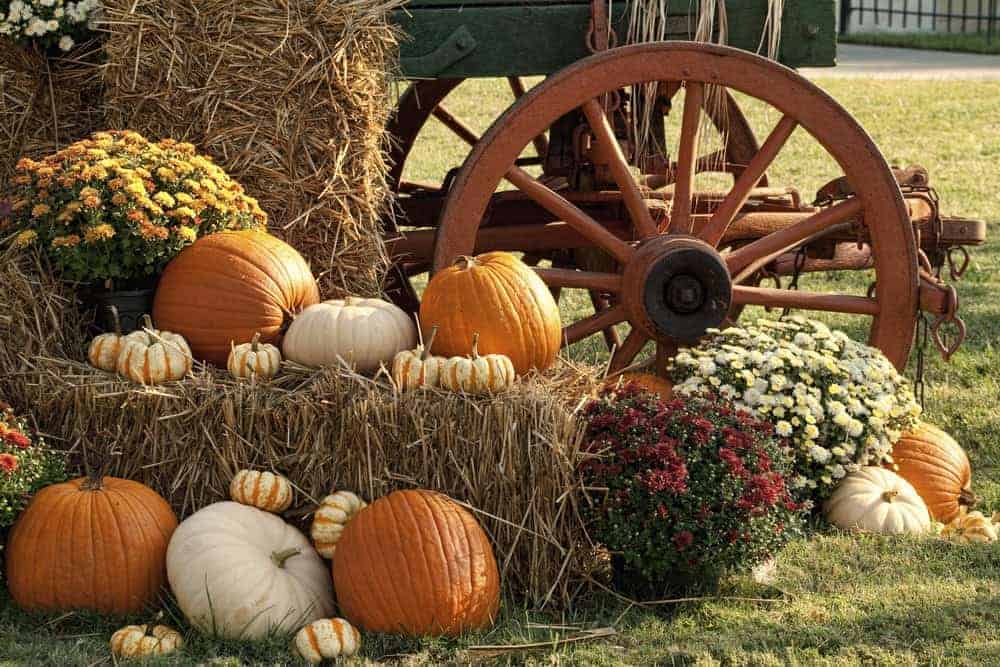 Smoky Mountains fall festival decorations