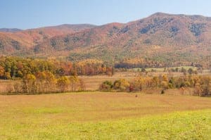 View of Cades Cove in the Great Smoky Mountains