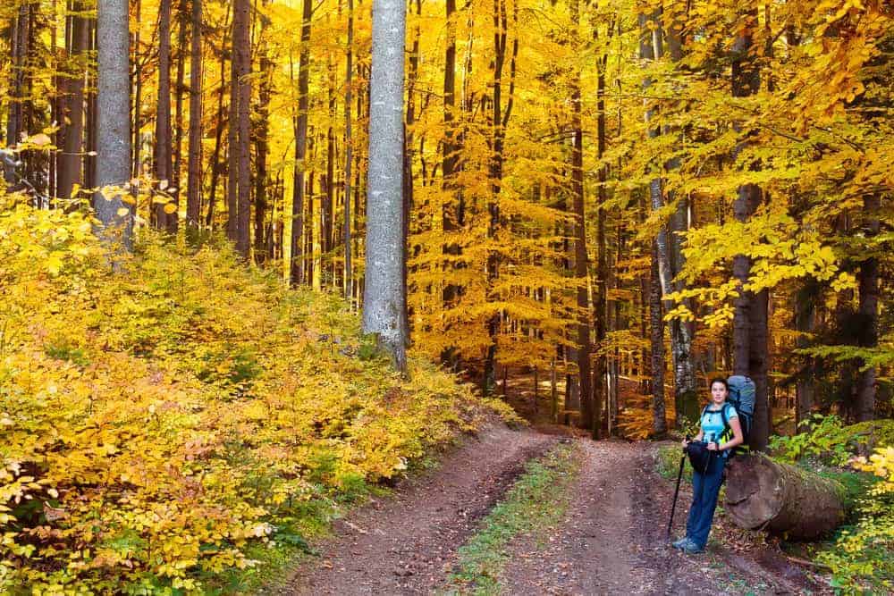 fall hiking in the Smoky Mountains