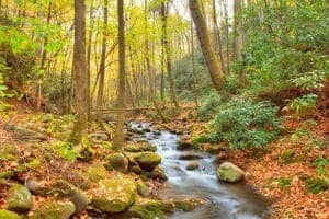 fall in the Smoky Mountains
