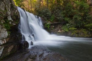 Abrams Falls hiking trail in the Great SMoky Mountains National Park