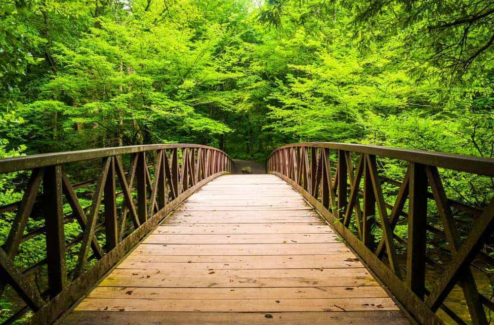 Bridge over a stream in the Great Smoky Mountains National Park