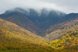Fall leaves and snow capped mountaintops