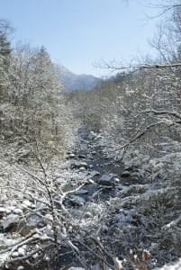 Snow in Greenbrier in the Smoky Mountains