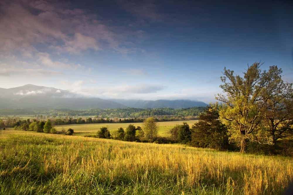 view of open field on the Cades Cove Loop Road