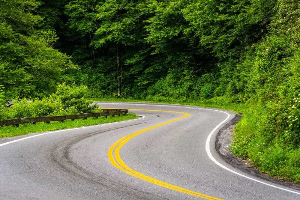 Newfound Gap Road with green trees around it