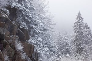 Snow at Clingmans Dome