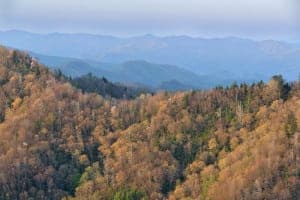 View from Newfound Gap Road