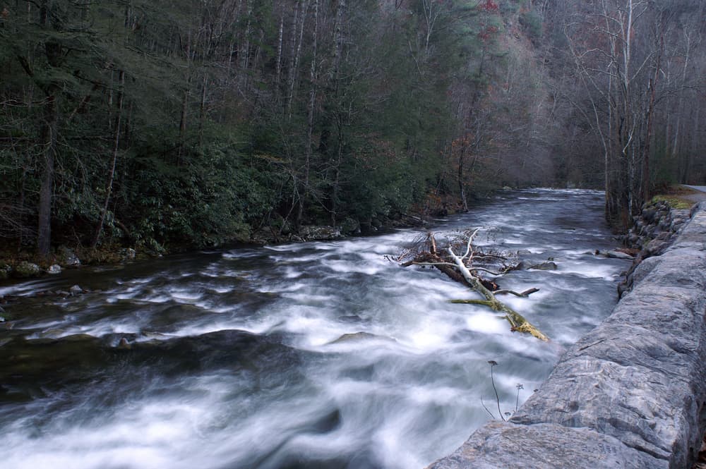Meigs Mountain Hiking Trail