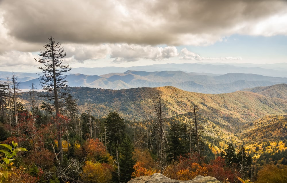 Chestnut Top Hiking Trail