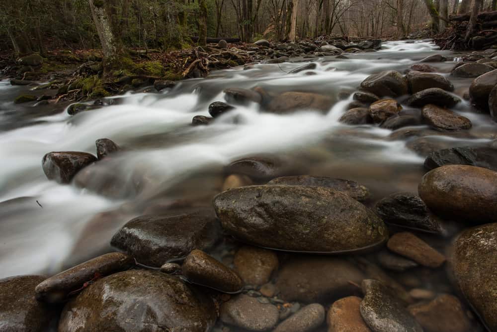 West Prong Hiking Trail