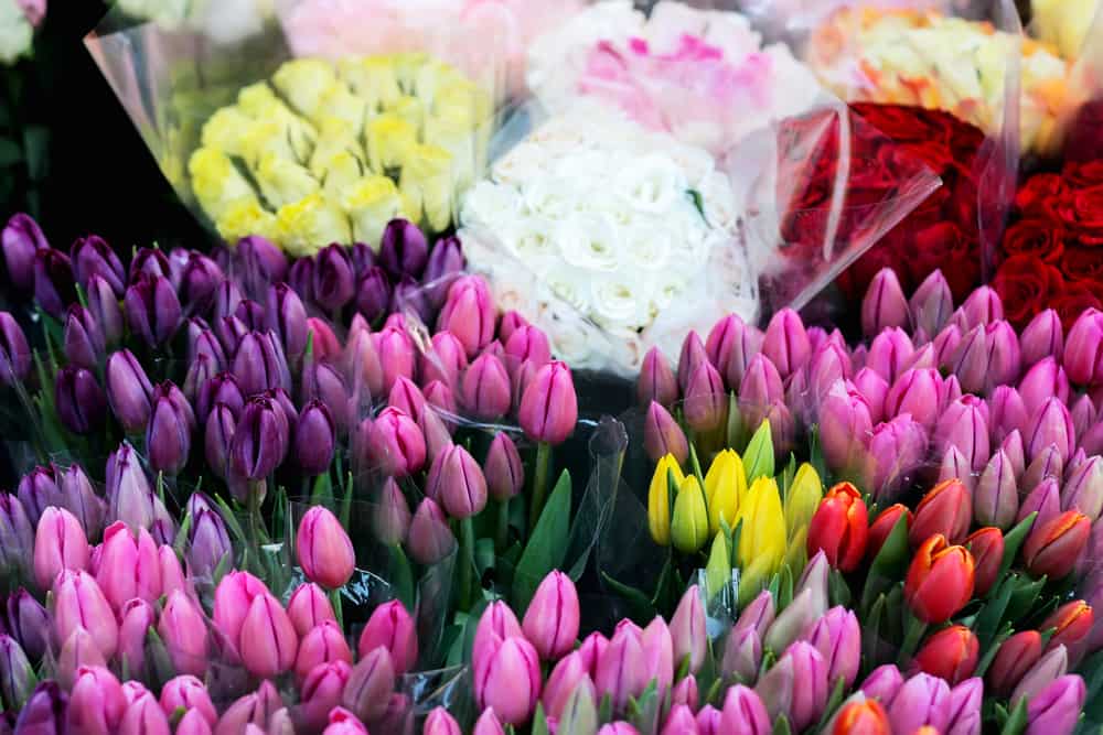 Cupid's Petals Florist Cupid's Petals Florist