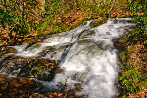 Chasteen Creek Cascade Hiking Trail Chasteen Creek Cascade Hiking Trail