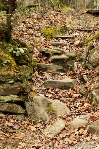 Curry Mountain Hiking Trail Curry Mountain Hiking Trail