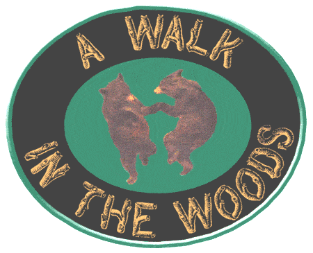 A Walk In The Woods
