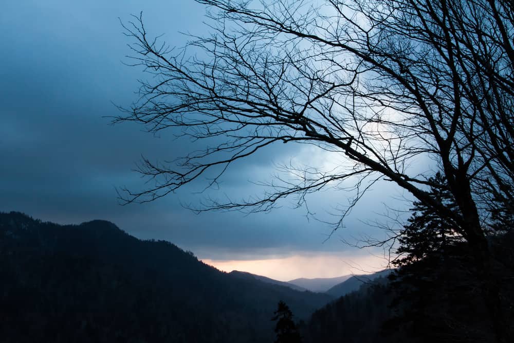 Mt. LeConte Hiking Trail from Boulevard Trail Mt. LeConte Hiking Trail from Boulevard Trail