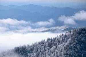 Fog floating over the mountaintops wuth white trees in the Great Smoky Mountains