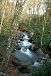 Stream running by Alum Cave Bluffs trail