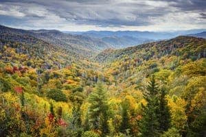 Wears Valley in the Smoky Mountains