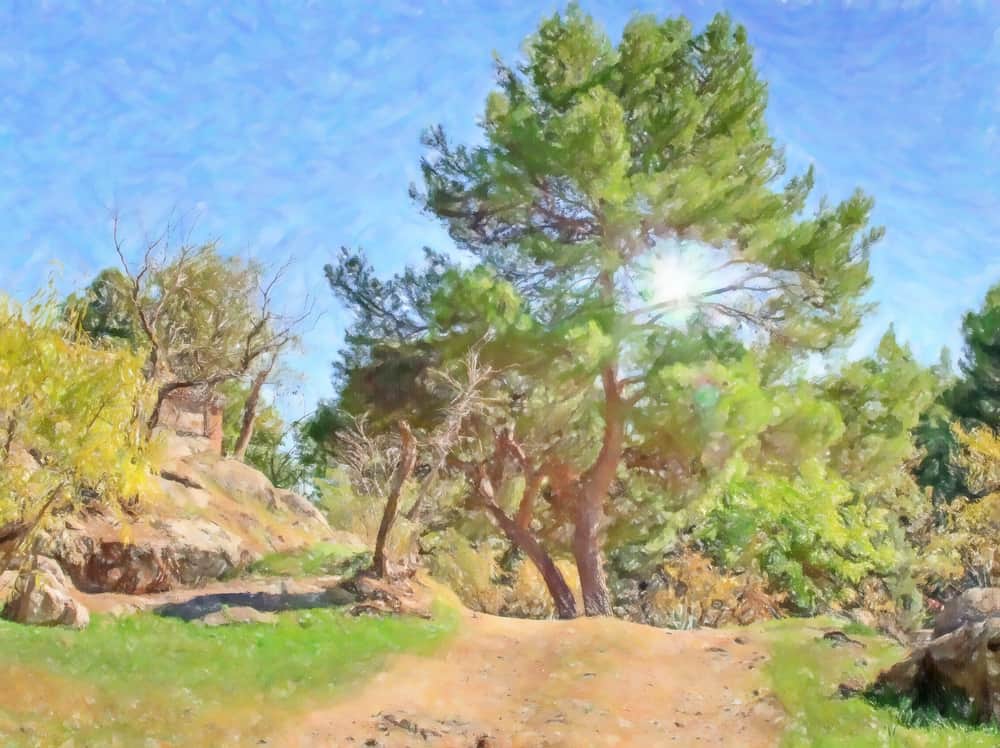 G. Webb Gallery