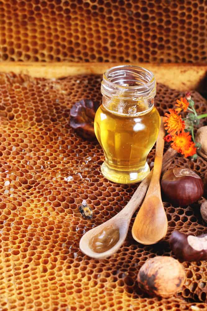Honey Bee's