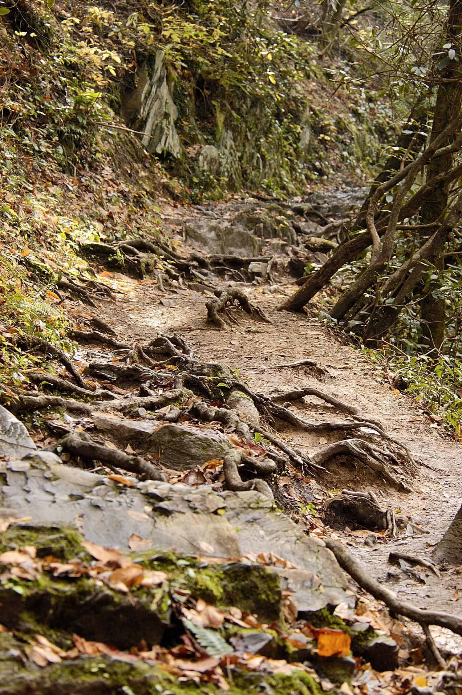 Charlies Bunion Hiking Trail Charlies Bunion Hiking Trail
