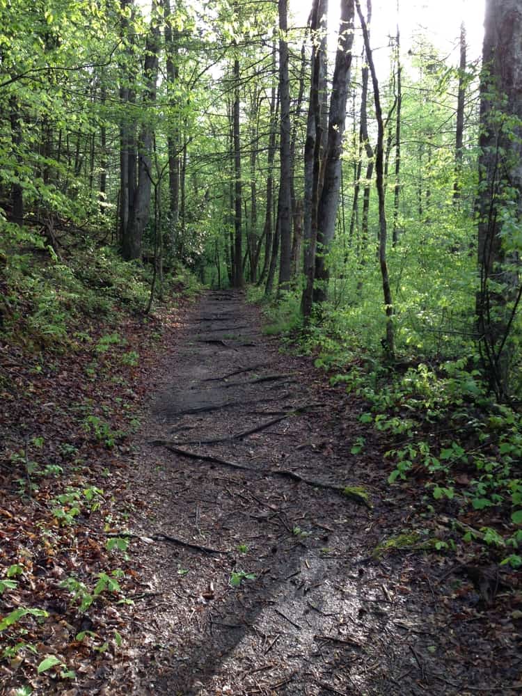 Grapeyard Ridge Hiking Trail