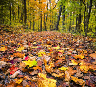 Ace Gap Hiking Trail