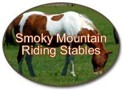 Smoky Mountain Stables