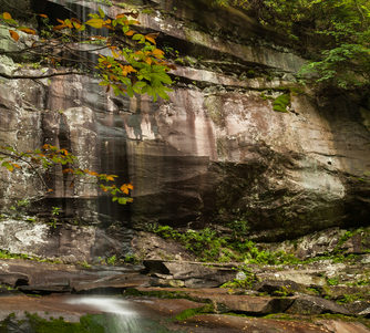 Mt. LeConte Hiking Trail from Rainbow Falls