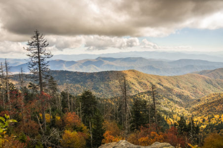 Chestnut Top Hiking Trail