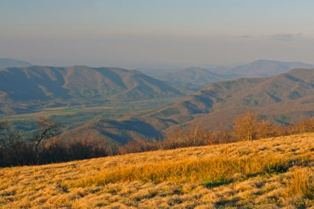 Gregory Bald Hiking Trail