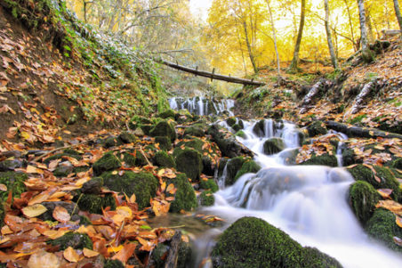 Porters Creek Hiking Trail