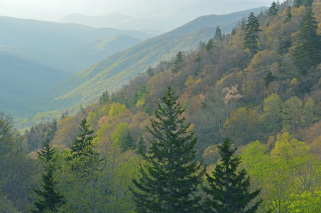 Husky Gap Hiking Trail