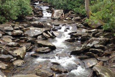 Little River Hiking Trail