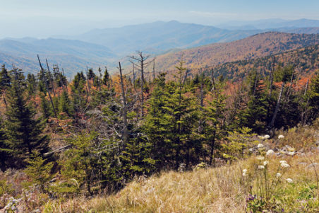 Spruce-fir Hiking Trail