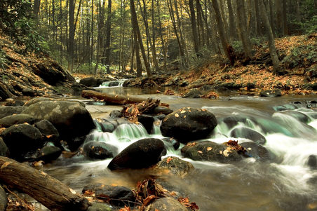 Middle Prong Hiking Trail