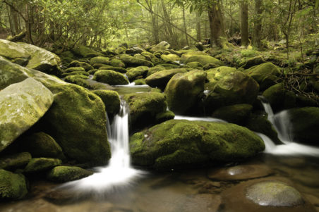 Ramsey Cascades Hiking Trail