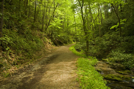 Schoolhouse Gap Hiking Trail