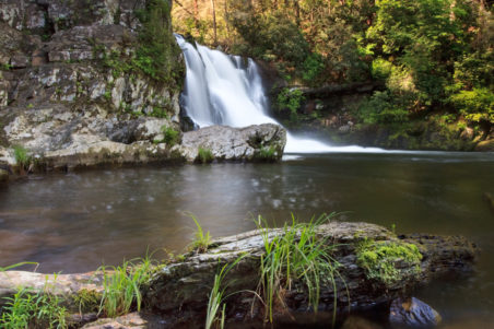 Abrams Falls Hiking Trail