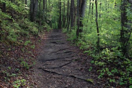 Grapeyard Ridge Hiking Trail